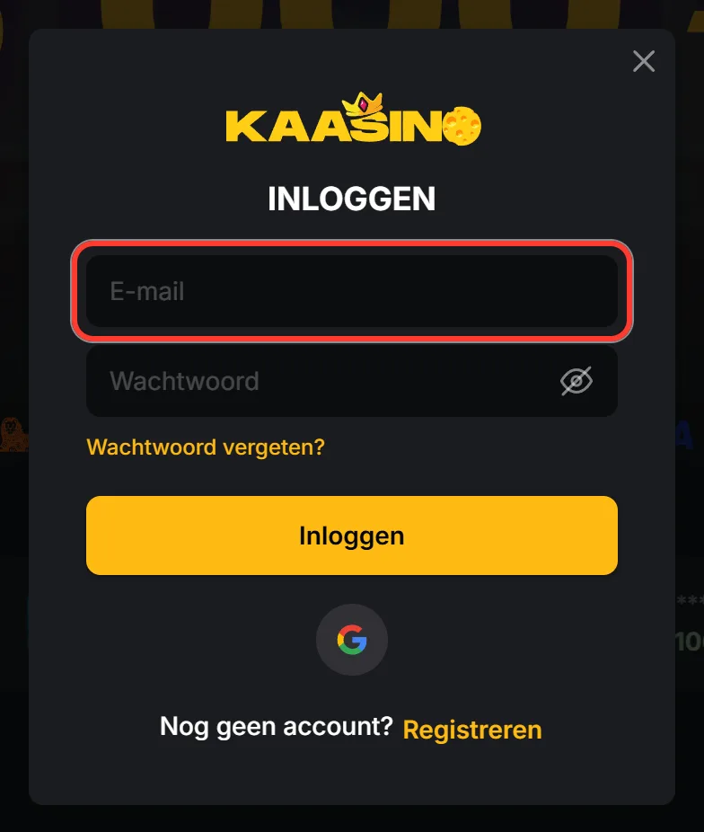Inlogvenster met het e-mailveld gemarkeerd